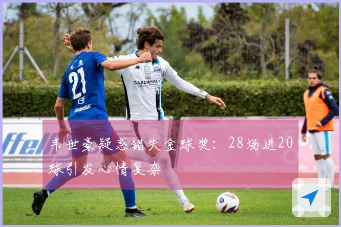 韦世豪疑惑错失金球奖：28场进20球引发心情复杂