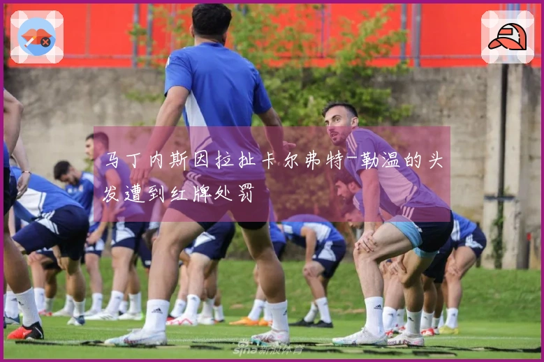 马丁内斯因拉扯卡尔弗特-勒温的头发遭到红牌处罚