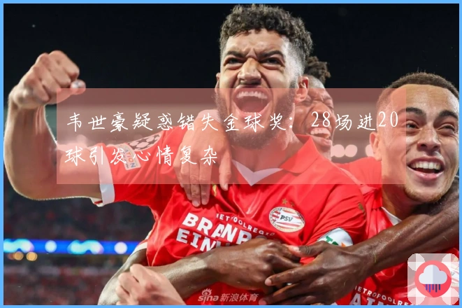 韦世豪疑惑错失金球奖：28场进20球引发心情复杂